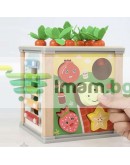 Дървен многофункционален сортер куб 5в1